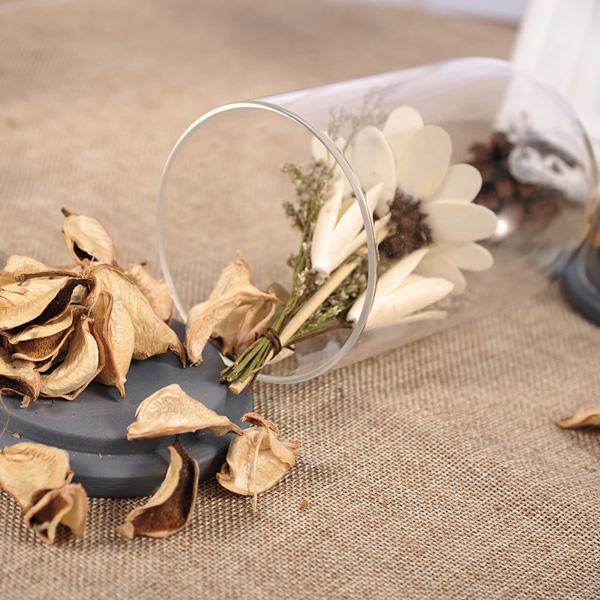 Rustic Bird Dome Glass Vase (Various Sizes)