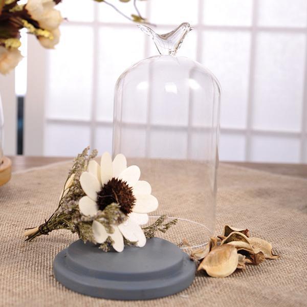 Rustic Bird Dome Glass Vase (Various Sizes)