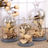 products/rustic-bird-dome-glass-vase-various-sizes-gardening-small-268-x-453-68-cm-x-115-cm-geekyget_b4658d31-8c2c-451c-858b-e45b986f2f51.jpg