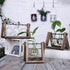 products/rustic-plant-terrarium-with-wooden-stand-various-sizes-gardening-small-single-vase-geekyget-2_afaa773f-4ddf-4dbe-8f6e-61e0b8ab0bc1.jpg