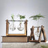 products/rustic-plant-terrarium-with-wooden-stand-various-sizes-gardening-small-single-vase-geekyget-3_252ac2d0-5fa4-4cfb-9a08-287bbd080b51.jpg