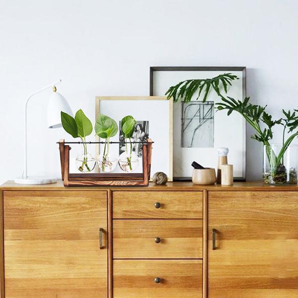 Rustic Plant Terrarium with Wooden Stand (Various Sizes)