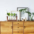 products/rustic-plant-terrarium-with-wooden-stand-various-sizes-gardening-small-single-vase-geekyget-5_d383564e-a380-4697-910f-ec4e5997e044.jpg