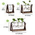 products/rustic-plant-terrarium-with-wooden-stand-various-sizes-gardening-small-single-vase-geekyget-7_fff5650b-3013-4edf-8bdd-a150ee1e3e64.jpg
