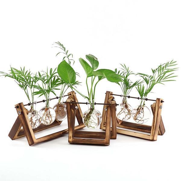 Rustic Plant Terrarium with Wooden Stand (Various Sizes)