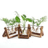 products/rustic-plant-terrarium-with-wooden-stand-various-sizes-gardening-small-single-vase-geekyget-8_b4b27e10-542c-46f9-b09a-e8a627cc52f1.jpg