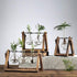 products/rustic-plant-terrarium-with-wooden-stand-various-sizes-gardening-small-single-vase-geekyget_780a1906-addc-4de9-8d14-1cb782fd62b9.jpg
