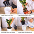 products/self-watering-flower-pots-various-sizes-gardening-l-67in-x-571in-17cm-x-145cm-geekyget-2_e188858e-6346-4679-b419-95b81133752a.jpg