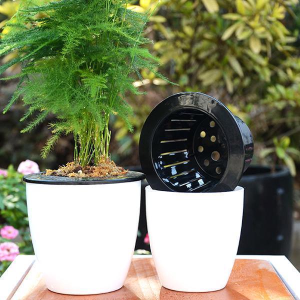 Self Watering Flower Pots (Various Sizes)
