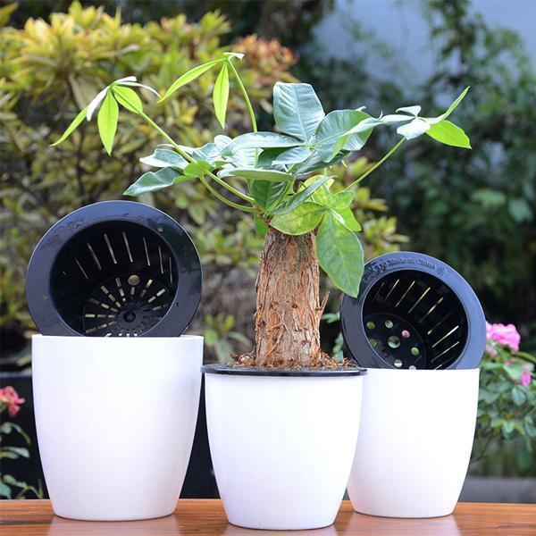 Self Watering Flower Pots (Various Sizes)