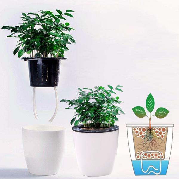 Self Watering Flower Pots (Various Sizes)