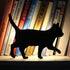 products/sound-activated-cat-night-light-various-designs-lighting-strolling-geekyget-5_1cceffea-739b-4bfc-8a6f-9a1d377132c4.jpg