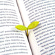 Sprout Bookmarks (Set Of 4)