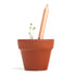 products/sprout-pencils-box-of-8-pencil-geekyget-4_62f38f14-ad85-4844-b649-73b4310c445d.jpg