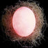 products/3d-dinosaur-egg-color-change-nightlight-lighting-394-10cm-geekyget-11.jpg