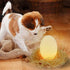 products/3d-dinosaur-egg-color-change-nightlight-lighting-394-10cm-geekyget-2.jpg