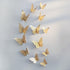 products/3d-metallic-butterfly-wall-stickers-set-of-12-stickers-gold-b-geekyget-10_500d1279-b96c-4a62-9dac-570d5329b2ad.jpg