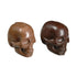 products/3d-skull-ice-mold-ice-mold-geekyget-6_6ea58884-437c-4444-8dc6-67881d9f5fe5.jpg