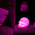 products/3d-sugar-skull-color-change-night-light-lighting-geekyget-4_92bbf6dd-fda7-4e1d-a3bd-752fb527f4db.jpg