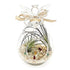 products/angel-terrarium-candle-holder-gardening-geekyget-5_f8e74d90-dd43-41f2-95ce-5b5414ce051d.jpg