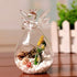 products/angel-terrarium-candle-holder-gardening-geekyget-8_3fa4fe41-25ed-4f94-857e-4640dd1f1c0c.jpg