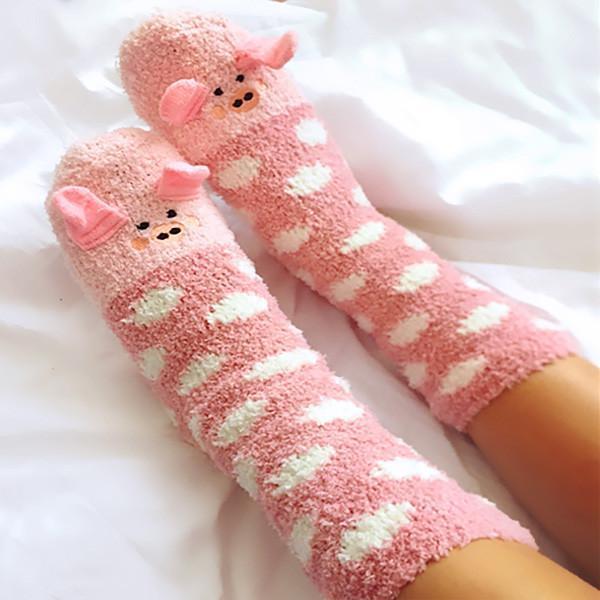 Animals Indoor Socks (Various Designs)