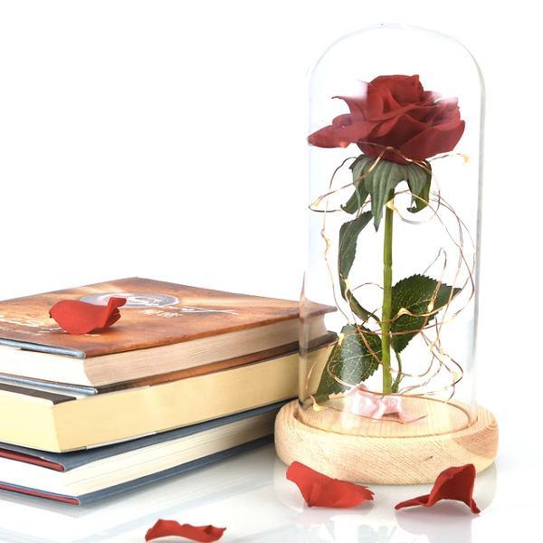 Beauty And The Beast Rose Glass Dome Light