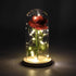 products/beauty-and-the-beast-rose-glass-dome-light-bouquet-light-brown-base-glass-dome-with-rose-geekyget-5_b67ca87d-0eb2-45f8-91bf-2883dc8762c1.jpg