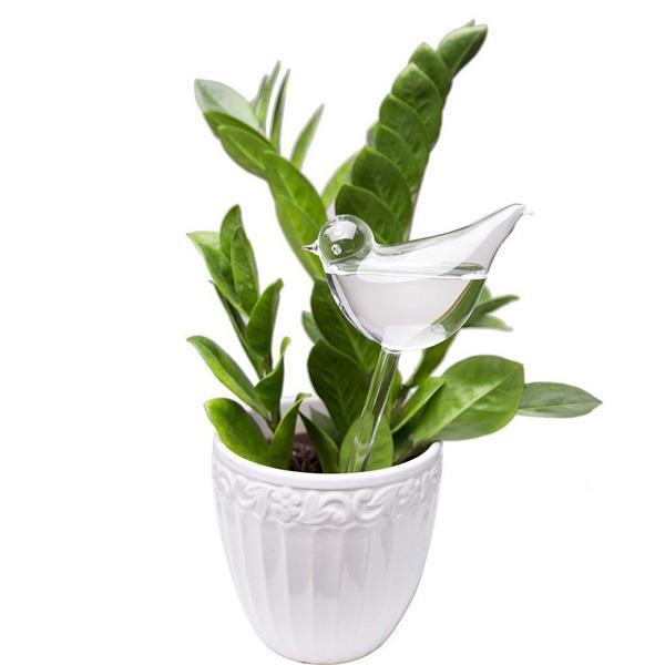 Bird Self Watering Glass Globe