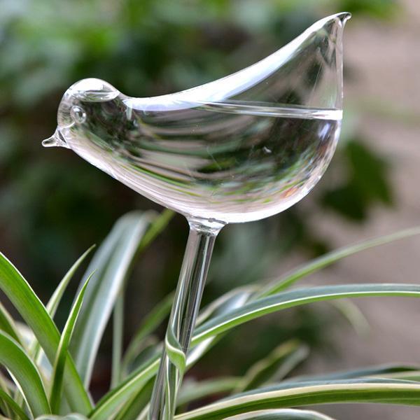 Bird Self Watering Glass Globe