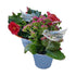 products/bird-self-watering-glass-globe-gardening-geekyget-5_76765c1b-c64a-4e29-aa52-48496590b1db.jpg