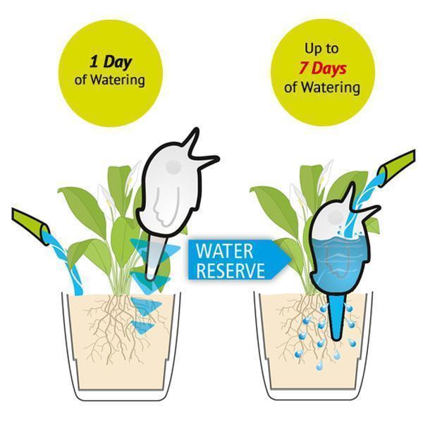 Birdy Plant Watering Bulb (Various Colors)