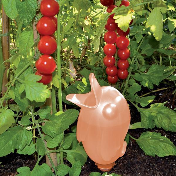 Birdy Plant Watering Bulb (Various Colors)