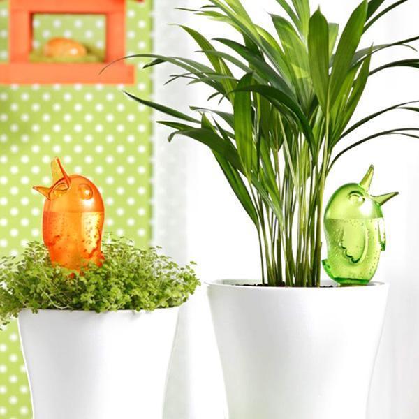 house plant watering bulbs Birdy Plant Watering Bulb (Various Colors)