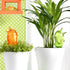 products/birdy-plant-watering-bulb-various-colors-gardening-orange-geekyget_9746e57d-c42f-43aa-b8ce-c1bcb7241f82.jpg