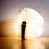 products/collapsible-led-book-lamp-various-designs-lighting-mini-48-x-35-x-09-122-x-9-x-24cm-white-maple-geekyget-4.jpg