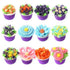 products/instant-flora-icing-nozzles-various-designs-utensil-flora-and-ball-tips-15-pieces-geekyget-3_a2a743c4-d727-457e-8e03-cab687426929.jpg