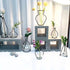 products/minimalist-abstract-iron-frame-vase-various-designs-gardening-a-geekyget-2_a656dc9c-39d0-4110-aa2f-3a5e5dde4ff8.jpg