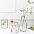 products/minimalist-abstract-iron-frame-vase-various-designs-gardening-a-geekyget-9_813c0cb0-45a7-4257-93c2-d983e9713bfd.jpg