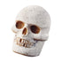 products/skull-baking-pan-bakeware-geekyget-3_396bb089-d131-4400-8561-57d328eb7f70.jpg