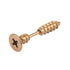 products/through-your-ear-screw-earrings-1pc-earrings-gold-1-piece-geekyget-6_044ccf1c-c8c3-474f-83fd-2d9aaff471d2.jpg