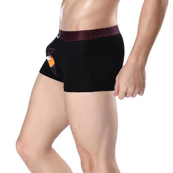 What's Up Bird Boxer Briefs