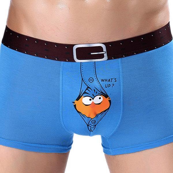 What's Up Bird Boxer Briefs