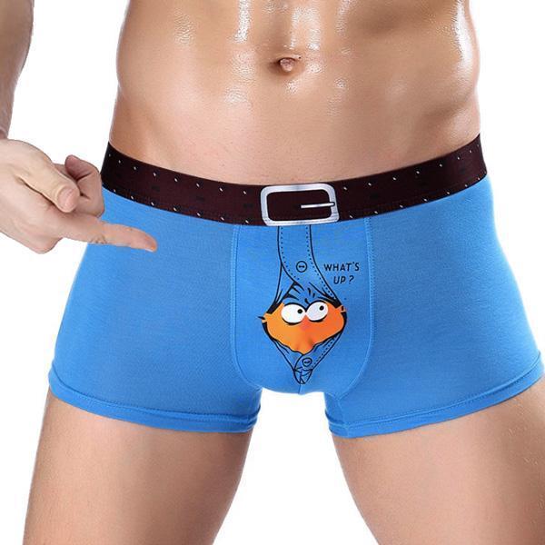 What's Up Bird Boxer Briefs